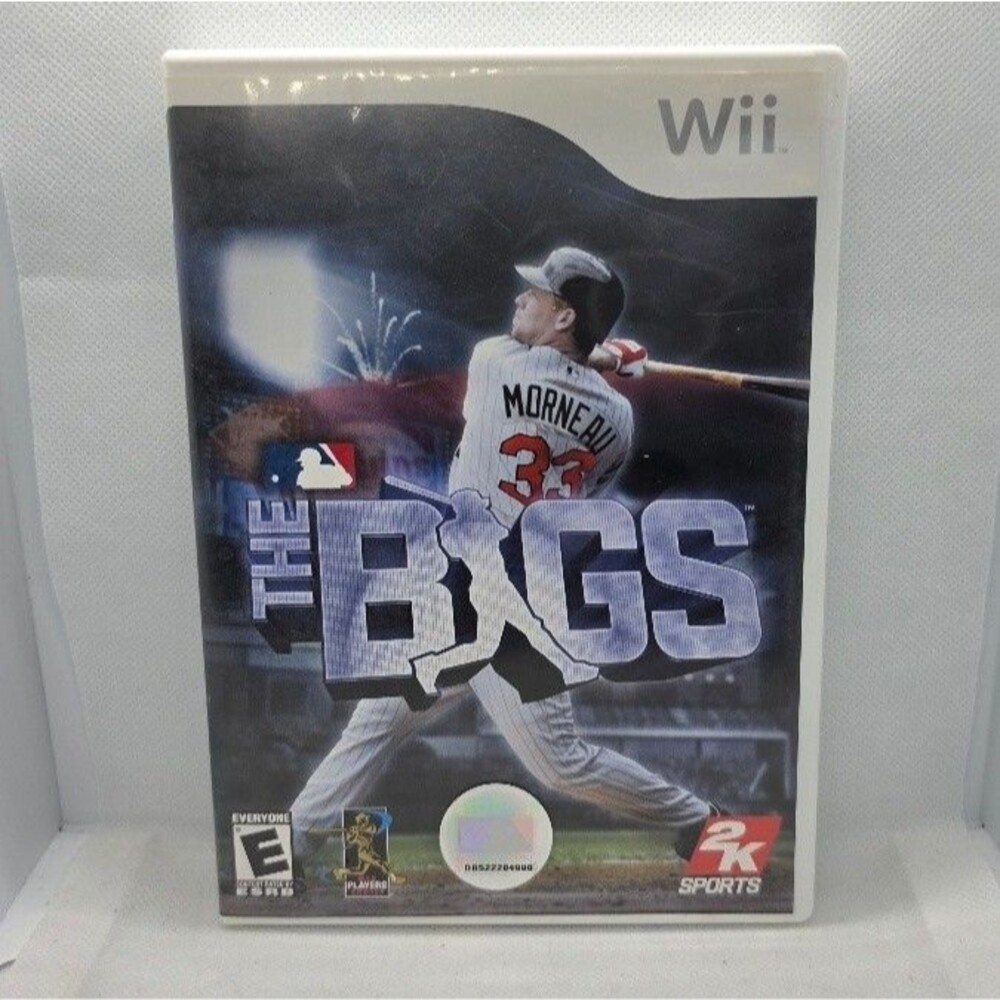 The Bigs Baseball Game (Nintendo Wii, 2007) Manual Included